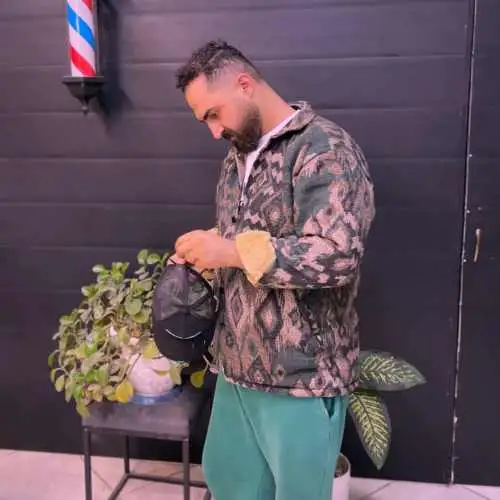 کبوتر مهاجر